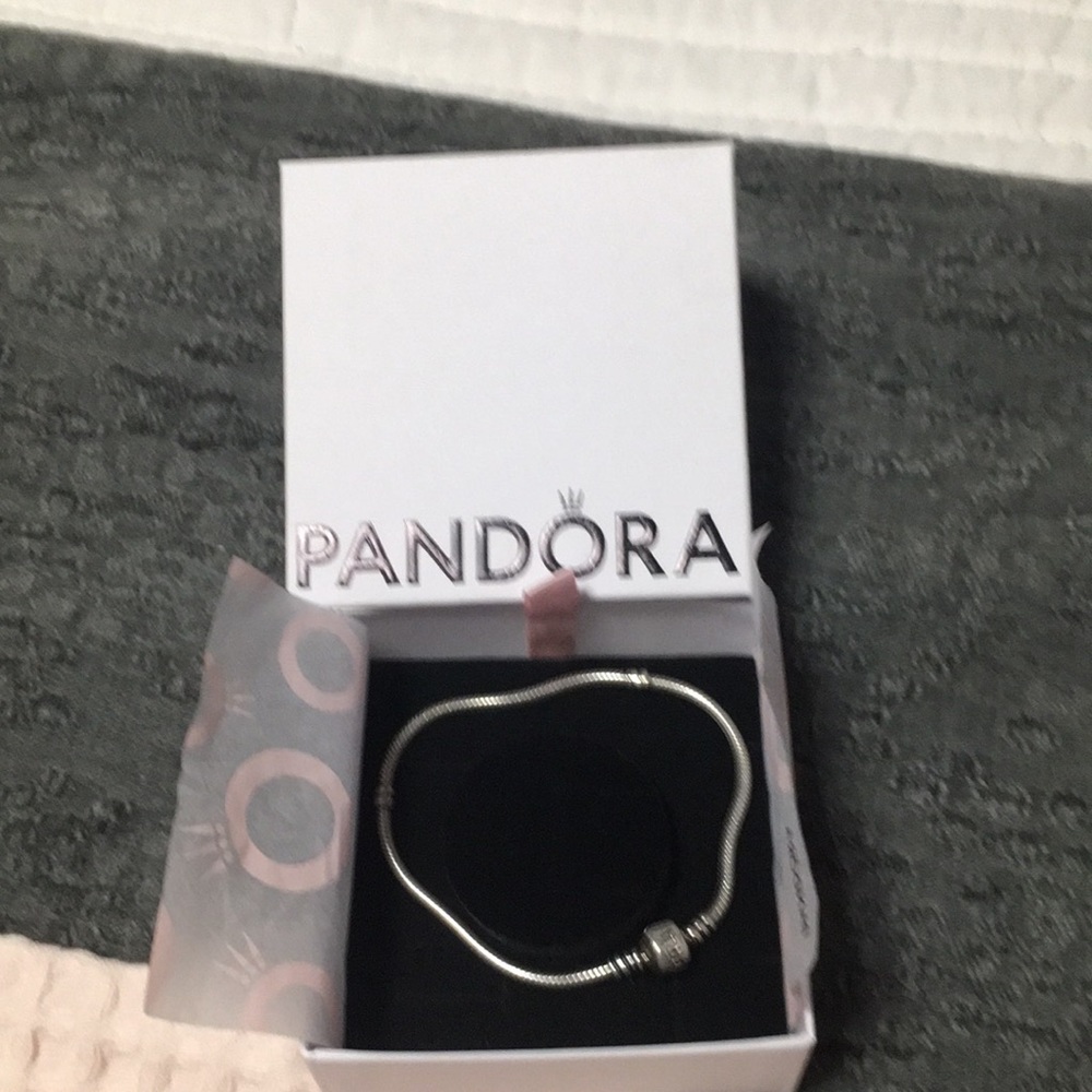 COPY - Pandora bracelet